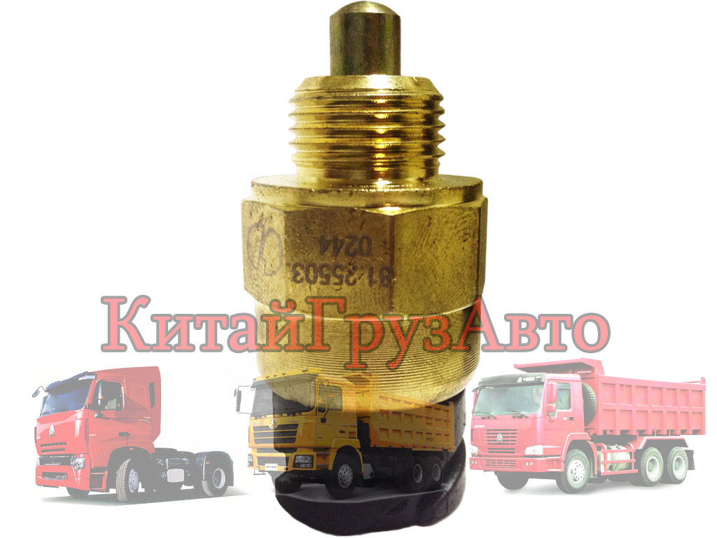 81.25503.0244+ Датчик блокировки SHAANXI (3 контакта)